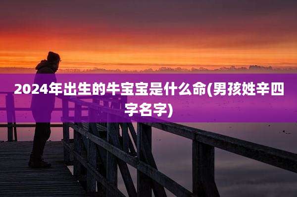 2024年出生的牛宝宝是什么命(男孩姓辛四字名字)