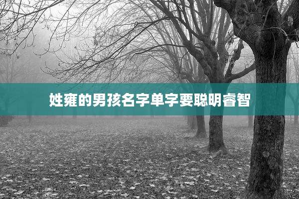 姓雍的男孩名字单字要聪明睿智