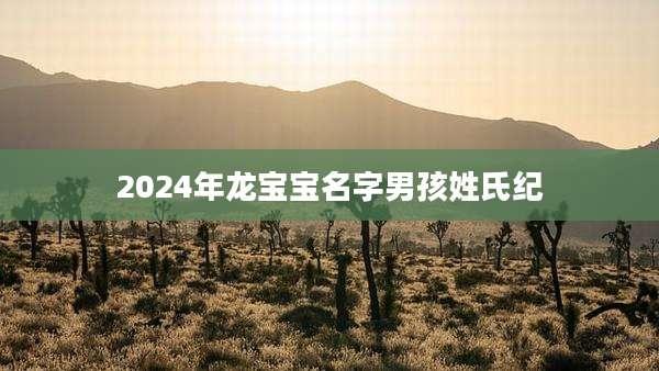 2024年龙宝宝名字男孩姓氏纪