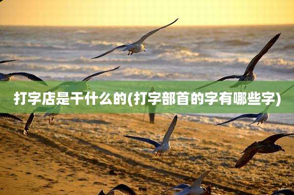 打字店是干什么的(打字部首的字有哪些字)
