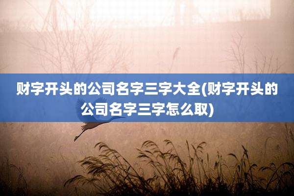 财字开头的公司名字三字大全(财字开头的公司名字三字怎么取)