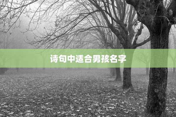 诗句中适合男孩名字