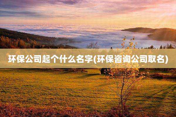 环保公司起个什么名字(环保咨询公司取名)