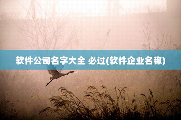 软件公司名字大全 必过(软件企业名称)