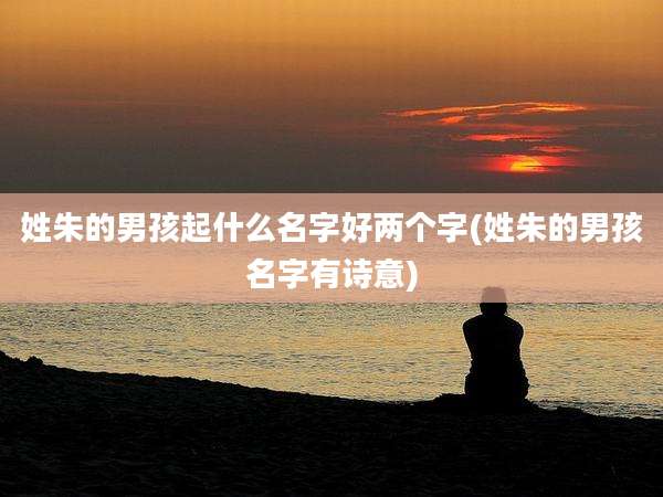 姓朱的男孩起什么名字好两个字(姓朱的男孩名字有诗意)