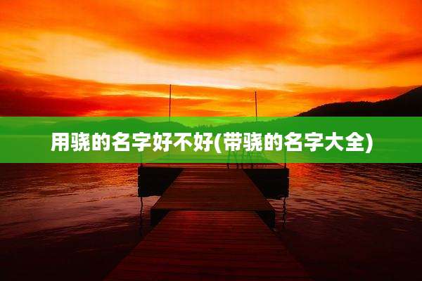 用骁的名字好不好(带骁的名字大全)