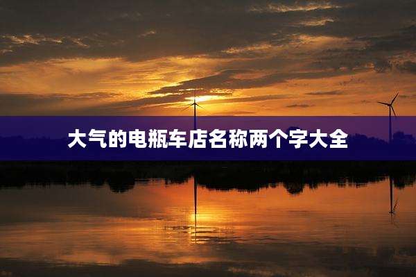 大气的电瓶车店名称两个字大全