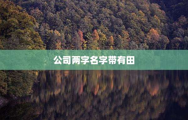 公司两字名字带有田