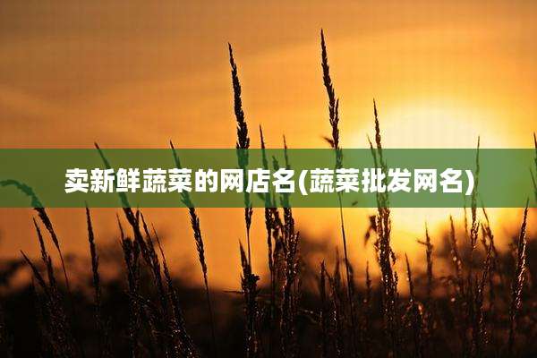卖新鲜蔬菜的网店名(蔬菜批发网名)
