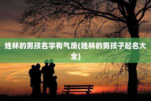姓林的男孩名字有气质(姓林的男孩子起名大全)