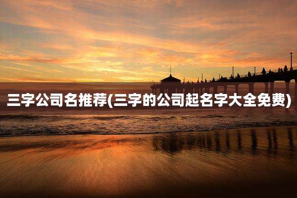 三字公司名推荐(三字的公司起名字大全免费)