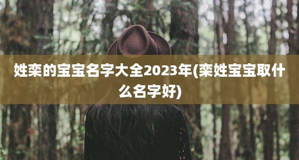 姓栾的宝宝名字大全2023年(栾姓宝宝取什么名字好)