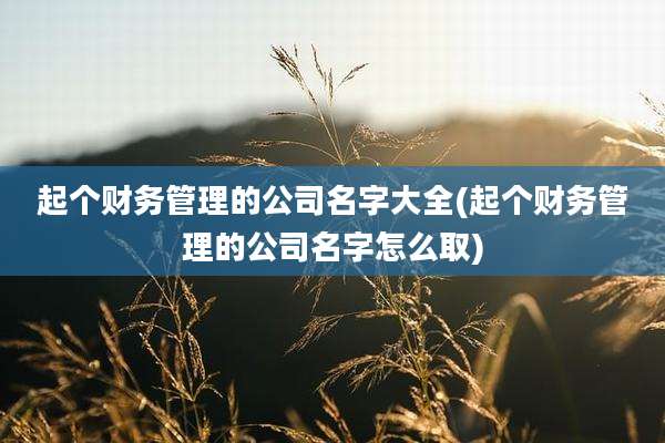起个财务管理的公司名字大全(起个财务管理的公司名字怎么取)