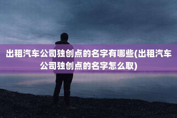 出租汽车公司独创点的名字有哪些(出租汽车公司独创点的名字怎么取)