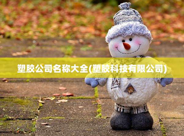 塑胶公司名称大全(塑胶科技有限公司)