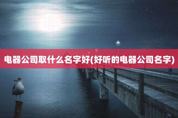 电器公司取什么名字好(好听的电器公司名字)