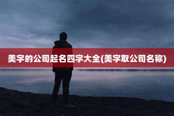 美字的公司起名四字大全(美字取公司名称)