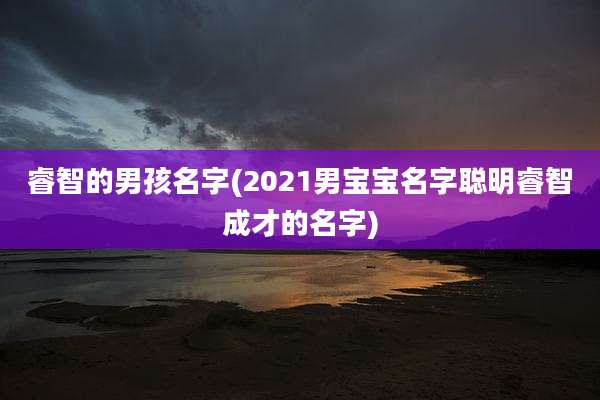 睿智的男孩名字(2021男宝宝名字聪明睿智成才的名字)