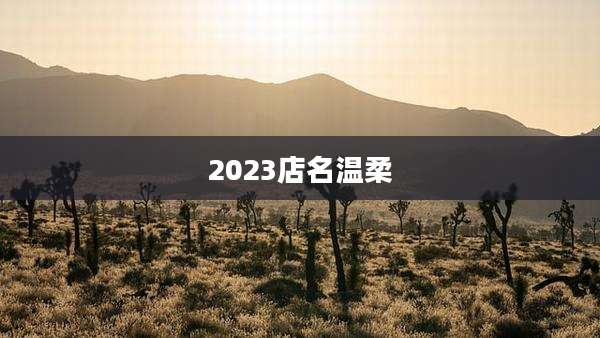 2023店名温柔