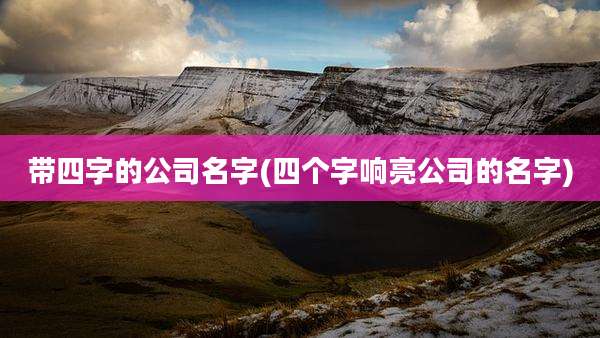 带四字的公司名字(四个字响亮公司的名字)