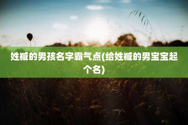 姓臧的男孩名字霸气点(给姓臧的男宝宝起个名)