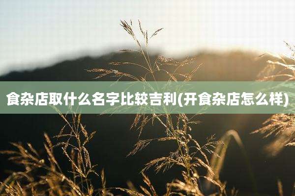食杂店取什么名字比较吉利(开食杂店怎么样)