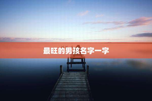 最旺的男孩名字一字
