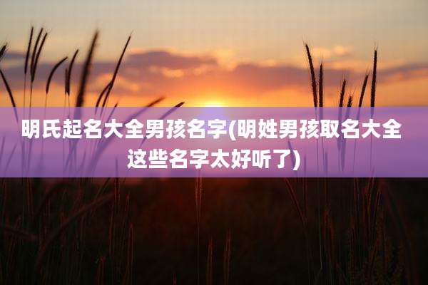 明氏起名大全男孩名字(明姓男孩取名大全 这些名字太好听了)