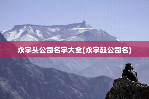 永字头公司名字大全(永字起公司名)