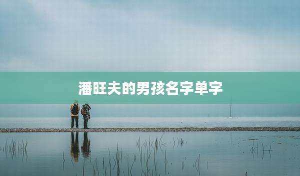 潘旺夫的男孩名字单字