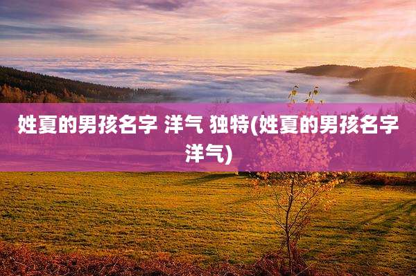 姓夏的男孩名字 洋气 独特(姓夏的男孩名字洋气)