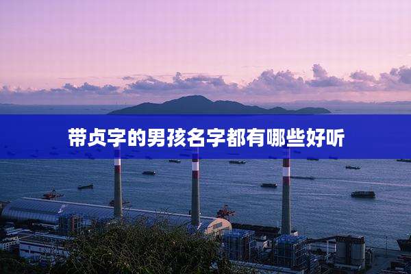 带贞字的男孩名字都有哪些好听