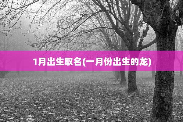 1月出生取名(一月份出生的龙)