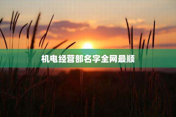 机电经营部名字全网最顺