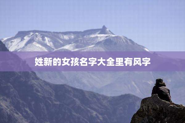 姓新的女孩名字大全里有风字