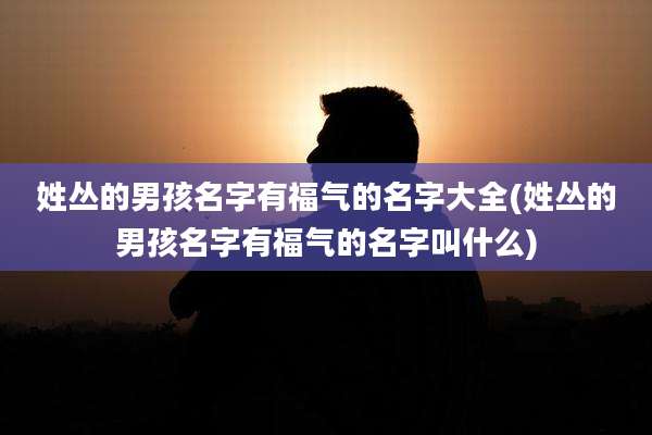 姓丛的男孩名字有福气的名字大全(姓丛的男孩名字有福气的名字叫什么)