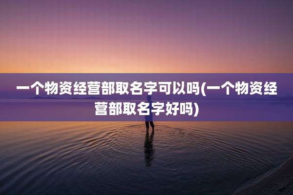 一个物资经营部取名字可以吗(一个物资经营部取名字好吗)