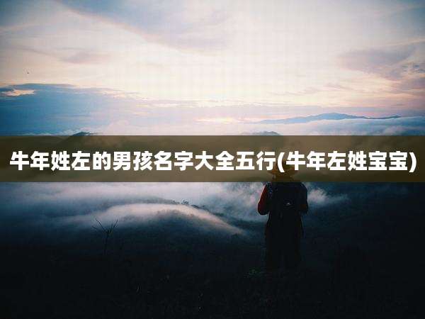 牛年姓左的男孩名字大全五行(牛年左姓宝宝)