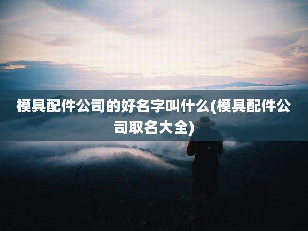 模具配件公司的好名字叫什么(模具配件公司取名大全)