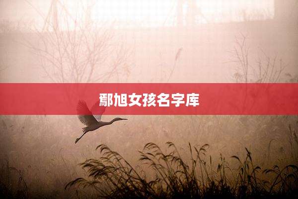 鄢旭女孩名字库