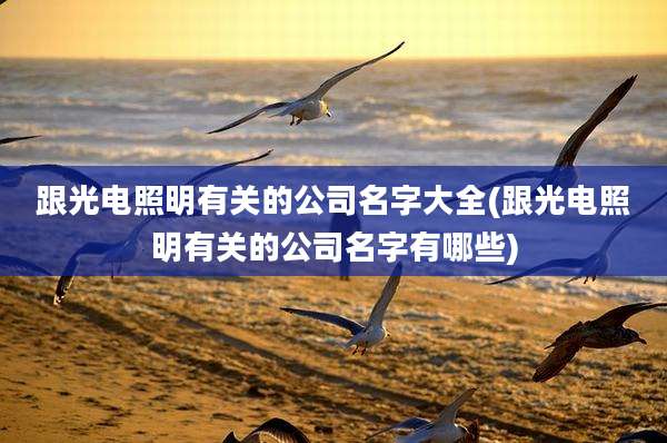 跟光电照明有关的公司名字大全(跟光电照明有关的公司名字有哪些)