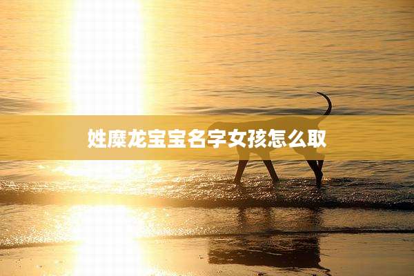 姓糜龙宝宝名字女孩怎么取
