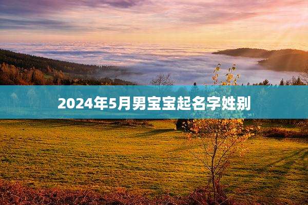 2024年5月男宝宝起名字姓别