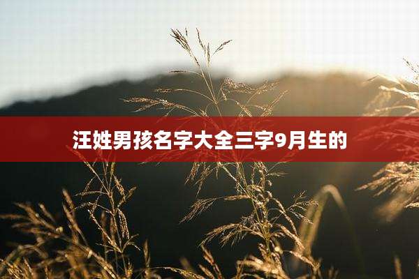 汪姓男孩名字大全三字9月生的