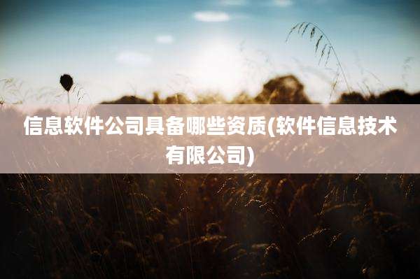 信息软件公司具备哪些资质(软件信息技术有限公司)