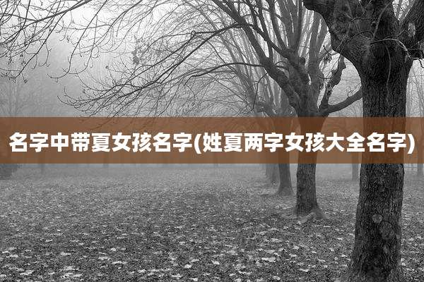 名字中带夏女孩名字(姓夏两字女孩大全名字)