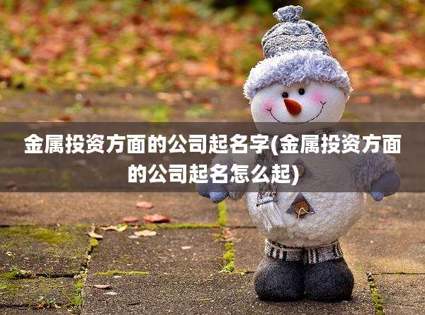 金属投资方面的公司起名字(金属投资方面的公司起名怎么起)