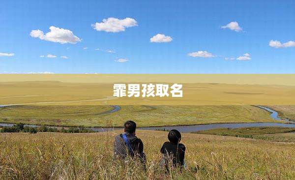 霏男孩取名