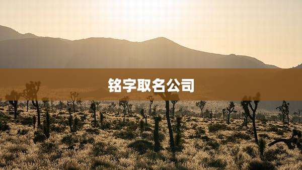 铭字取名公司