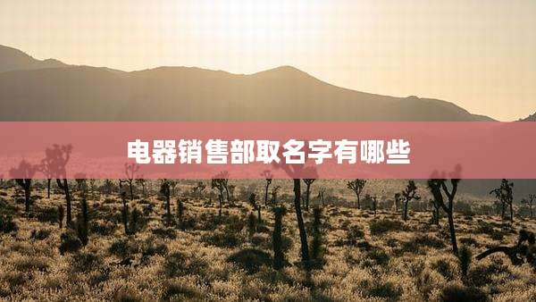 电器销售部取名字有哪些